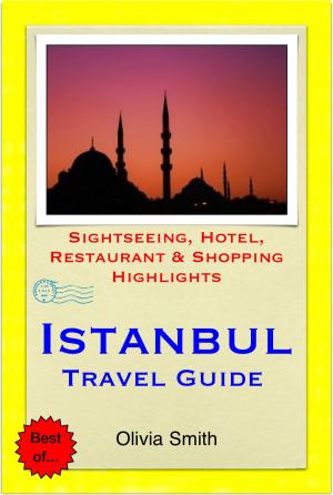 Book cover of Istanbul, Turkey Travel Guide - Sightseeing, Hotel, Restaurant & Shopping Highlights (Illustrated)