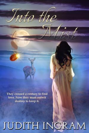 Cover of the book Into the Mist by D.K. Christi