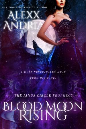 Book cover of Blood Moon Rising (Urban Fantasy Romance)
