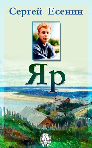 Cover of the book Яр by Ги де Мопассан