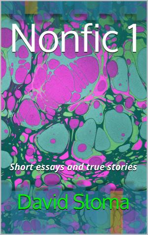 Cover of Nonfic 1 - Short essays and true stories