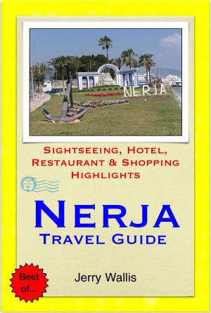 Cover of the book Nerja & Costa del Sol (East), Spain Travel Guide - Sightseeing, Hotel, Restaurant & Shopping Highlights (Illustrated) by Nicole Wright