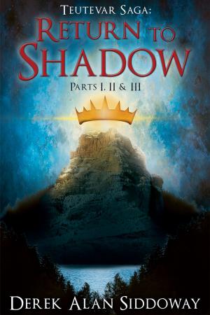Cover of the book Return to Shadow by H.D. Grogan