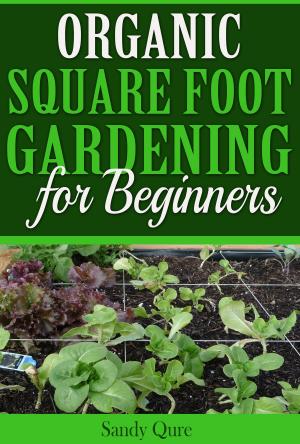 bigCover of the book Organic Square Foot Gardening for Beginners by 