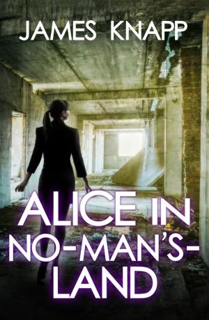 Book cover of Alice in No-Man’s-Land