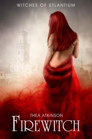 Cover of the book Fire witch by Megan Duncan