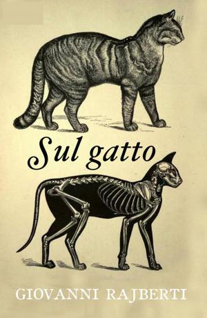 Cover of the book Sul Gatto (Commentata) by Karl May