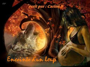 Book cover of Enceinte d'un loup