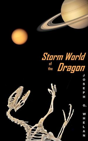 Cover of the book Storm World of the Dragon by Don Kross