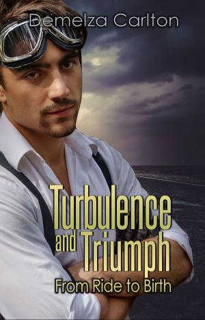 Book cover of Turbulence and Triumph: From Ride to Birth