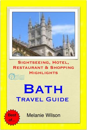 Book cover of Bath & Stonehenge (UK) Travel Guide - Sightseeing, Hotel, Restaurant & Shopping Highlights (Illustrated)
