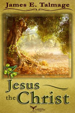 Cover of the book Jesus The Christ by John Morgan