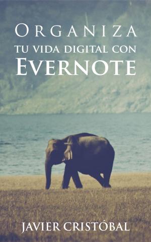 Book cover of Organiza tu vida digital con Evernote