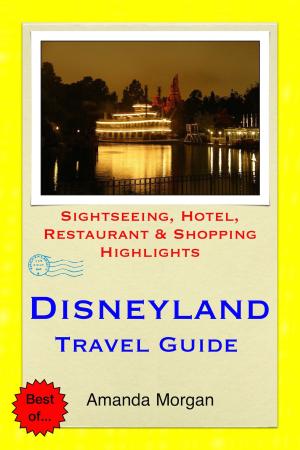 Cover of the book Disneyland, California Travel Guide - Sightseeing, Hotel, Restaurant & Shopping Highlights (Illustrated) by Grace Burke