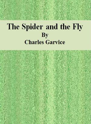 Cover of the book The Spider and the Fly by George Manville Fenn