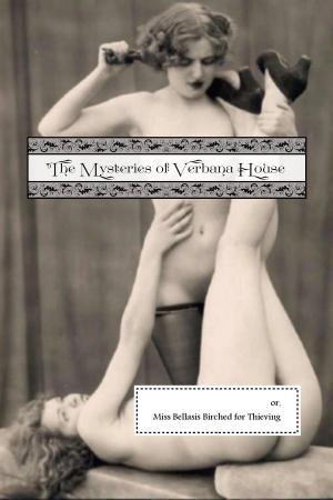 Cover of the book The Mysteries of Verbena House by Pierre Latour, Locus Elm Press (editor)