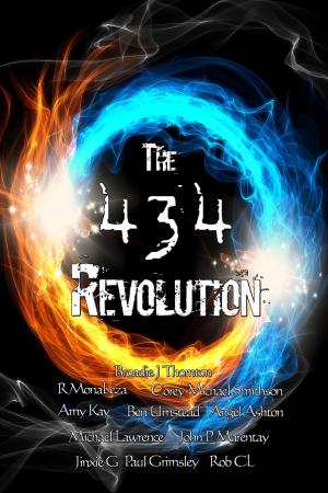 Book cover of The 434 Revolution