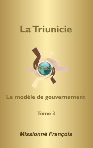 Cover of Le modèle de gouvernement de la Triunicie