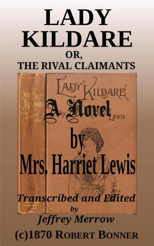 Cover of Lady Kildare