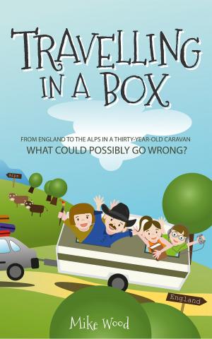 bigCover of the book Travelling in a Box by 
