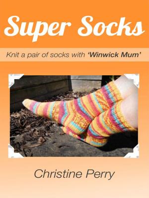 Cover of the book Super Socks by Anna Hrachovec