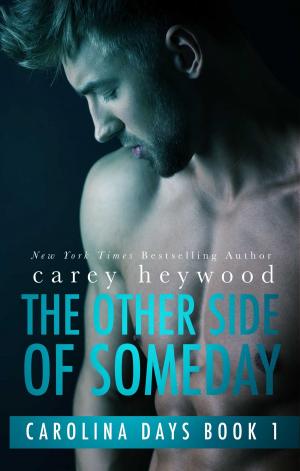 Book cover of The Other Side of Someday