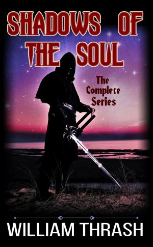 Cover of the book Shadows of the Soul by Armand Viljoen