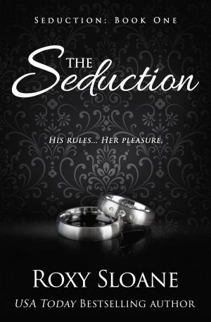 Cover of the book The Seduction by Kimberly Kaye Terry
