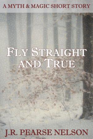 Cover of the book Fly Straight and True by K.D. Aeker