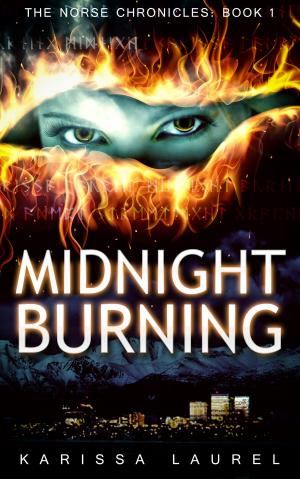 Cover of the book Midnight Burning by Cheryl Guerriero