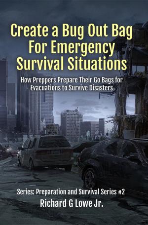 Cover of the book Create a Bug Out Bag for Emergency Survival Situations by Richard G Lowe Jr