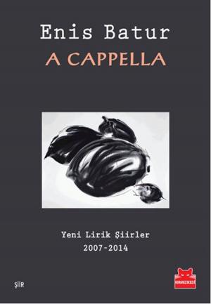 Cover of the book A Cappella by Orhan Bursalı