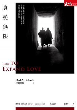 Cover of the book 真愛無限 by Khenpo Tsultrim Lodro Rinpoche