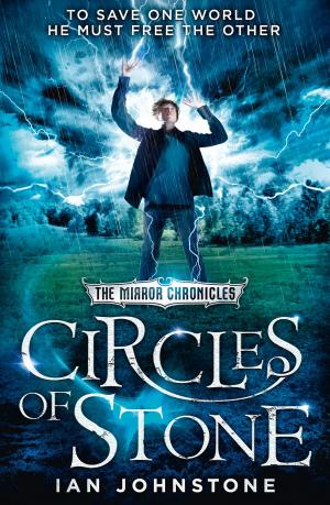 Cover of the book Circles of Stone (The Mirror Chronicles, Book 2) by GoMadKids, Burnese Deysel