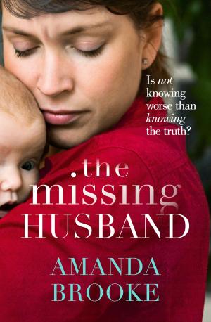 Cover of the book The Missing Husband by Amy Sparkes