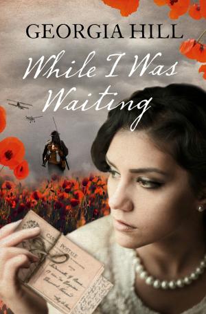 Cover of the book While I Was Waiting by Amy Bird