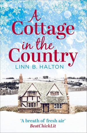 bigCover of the book A Cottage in the Country: Escape to the cosiest little cottage in the country (Christmas in the Country, Book 1) by 