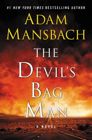 Cover of the book The Devil's Bag Man by Mitchell Zuckoff