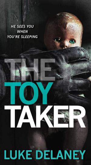 Cover of the book The Toy Taker by Paul Johnson