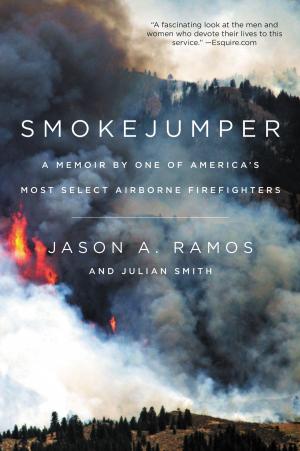 Cover of the book Smokejumper by Glen Erik Hamilton