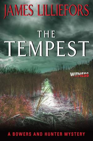 Cover of the book The Tempest by RC Patterson