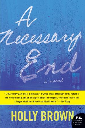 Cover of the book A Necessary End by Elizabeth Peters