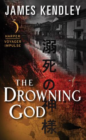 Cover of the book The Drowning God by Auston Habershaw