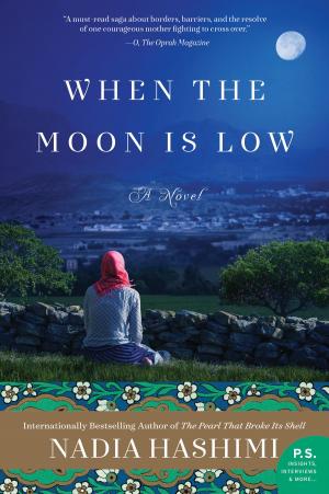 Cover of the book When the Moon Is Low by Christopher Moore