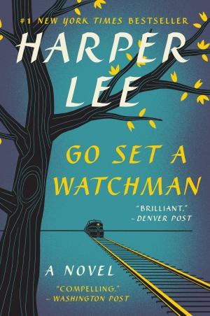 Book cover of Go Set a Watchman