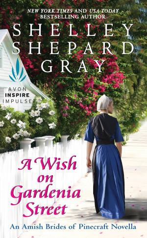 Cover of the book A Wish on Gardenia Street by Darlene Panzera