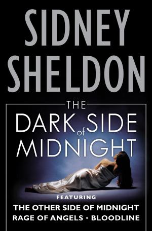 Cover of the book The Dark Side of Midnight by Hallie Ephron