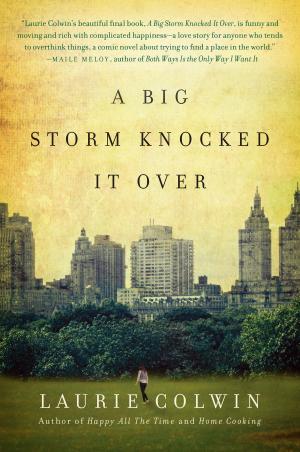 Cover of the book A Big Storm Knocked It Over by Jillian Cantor