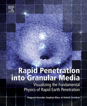 Cover of the book Rapid Penetration into Granular Media by Christophe Terrien