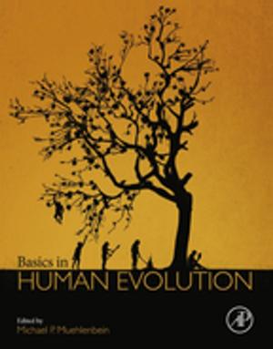 Cover of the book Basics in Human Evolution by Stephen F. Goodwin